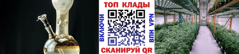 Купить наркотик Губкин COCAIN  МЕФ  мега   Каннабис  Alpha PVP 