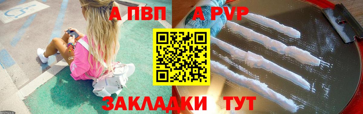 А ПВП СК КРИС Губкин