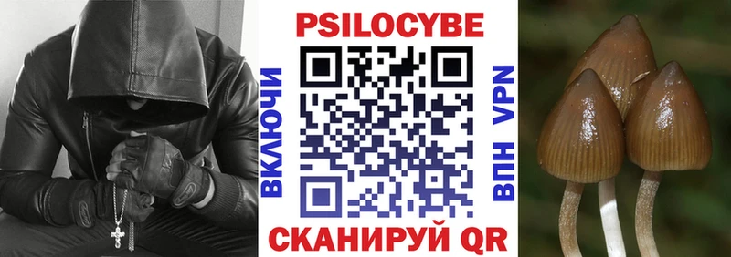 даркнет сайт  Губкин  Псилоцибиновые грибы Cubensis 